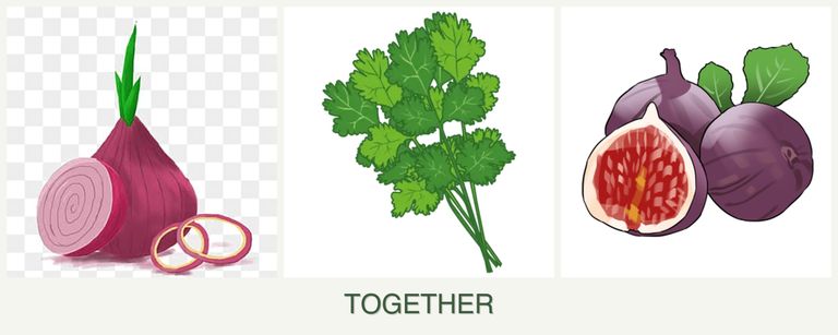 Can you plant onions, cilantro and figs together?