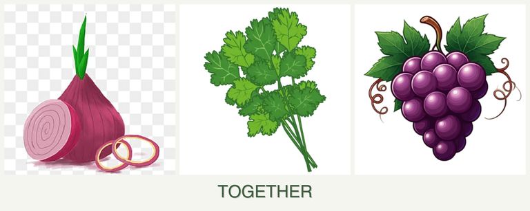 Can you plant onions, cilantro and grapes together?