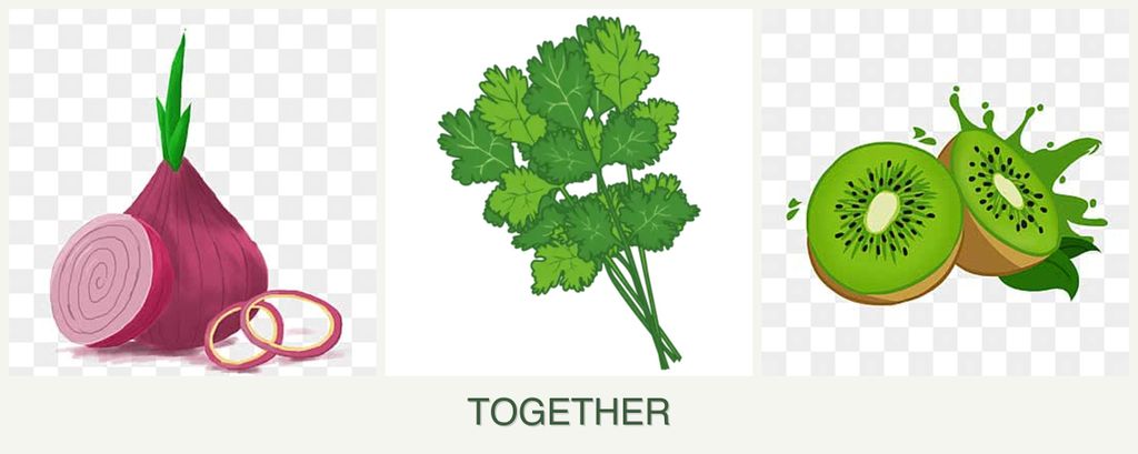 Can you plant onions, cilantro and kiwi together?