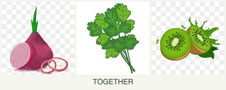 Can you plant onions, cilantro and kiwi together?