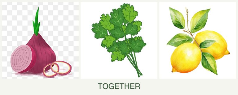 Can you plant onions, cilantro and lemons together?