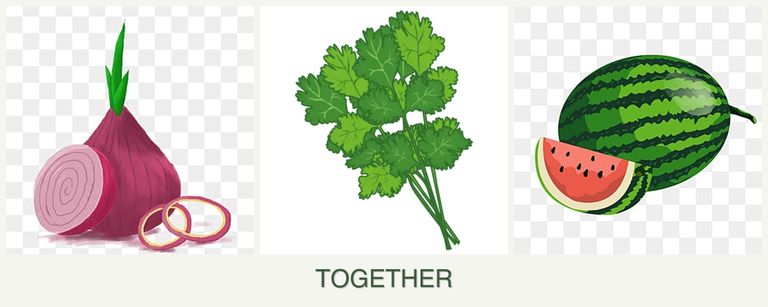 Can you plant onions, cilantro and melons together?