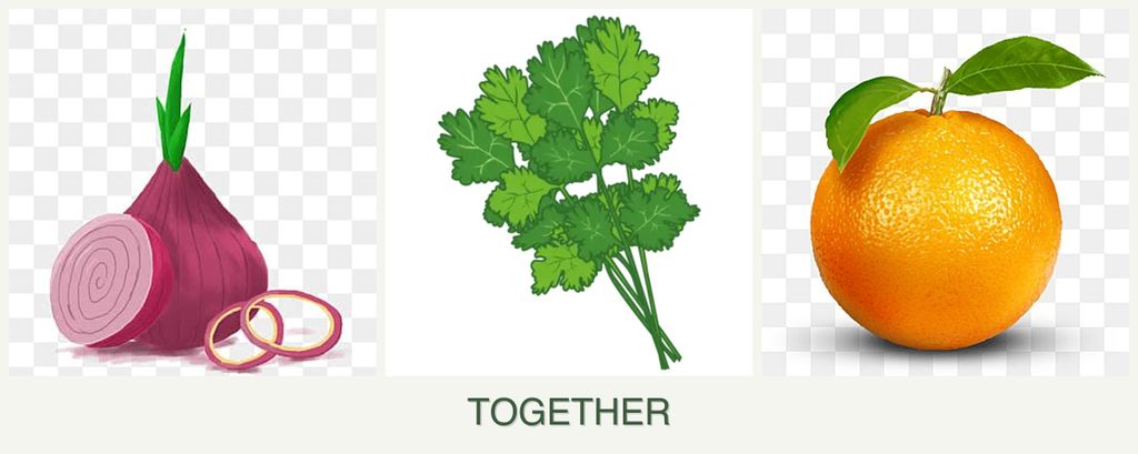 Can you plant onions, cilantro and oranges together?