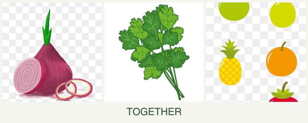 Can you plant onions, cilantro and pears together?
