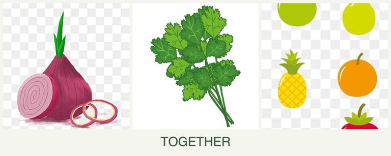 Can you plant onions, cilantro and pears together?