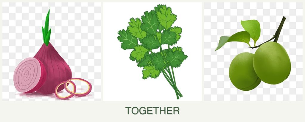 Can you plant onions, cilantro and plums together?