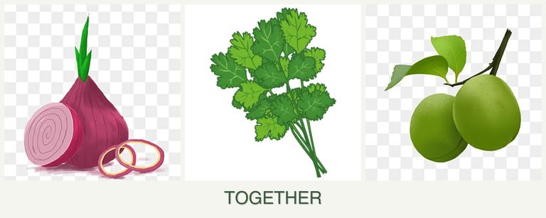 Can you plant onions, cilantro and plums together?
