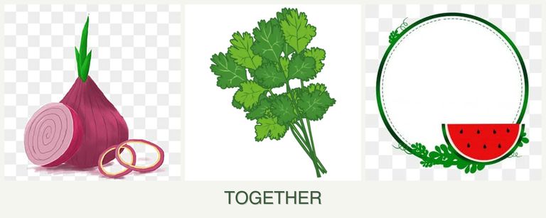 Can you plant onions, cilantro and watermelons together?