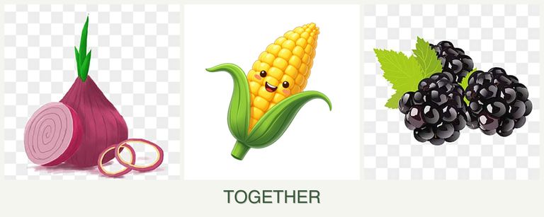 Can you plant onions, corn and blackberries together?