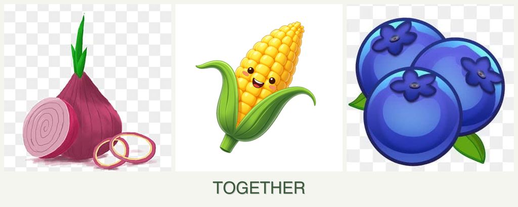 Can you plant onions, corn and blueberries together?
