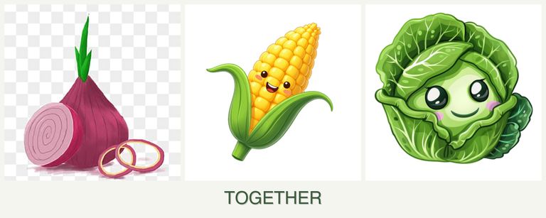 Can you plant onions, corn and cabbage together?