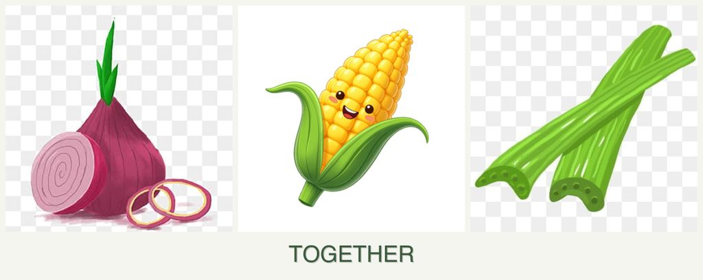 Can you plant onions, corn and celery together?