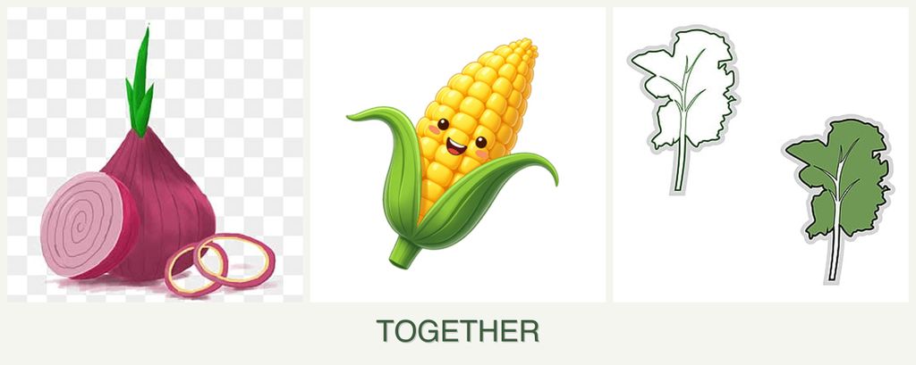 Can you plant onions, corn and kale together?