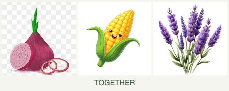 Can you plant onions, corn and lavender together?
