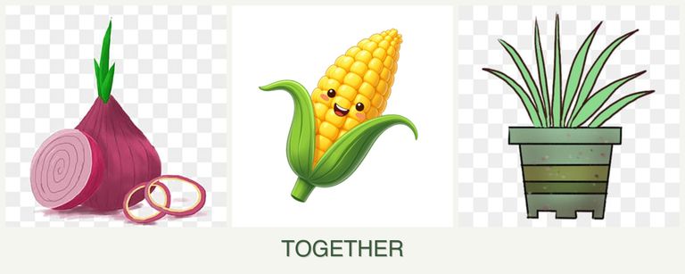 Can you plant onions, corn and lemongrass together?