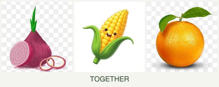 Can you plant onions, corn and oranges together?