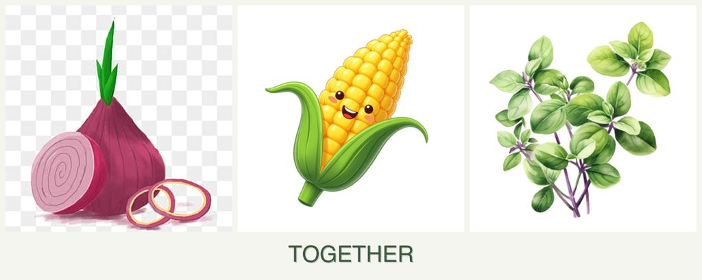 Can you plant onions, corn and oregano together?