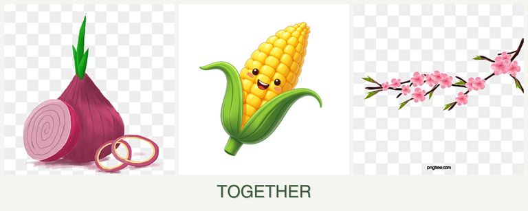 Can you plant onions, corn and peaches together?