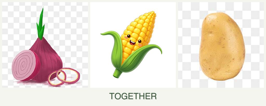 Can you plant onions, corn and potatoes together?