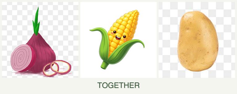 Can you plant onions, corn and potatoes together?