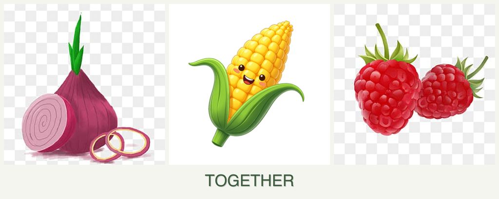 Can you plant onions, corn and raspberries together?