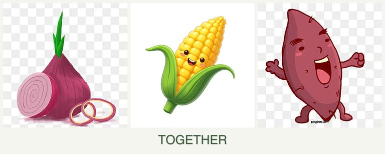 Can you plant onions, corn and sweet potatoes together?