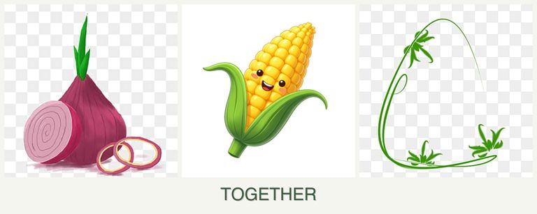 Can you plant onions, corn and tarragon together?