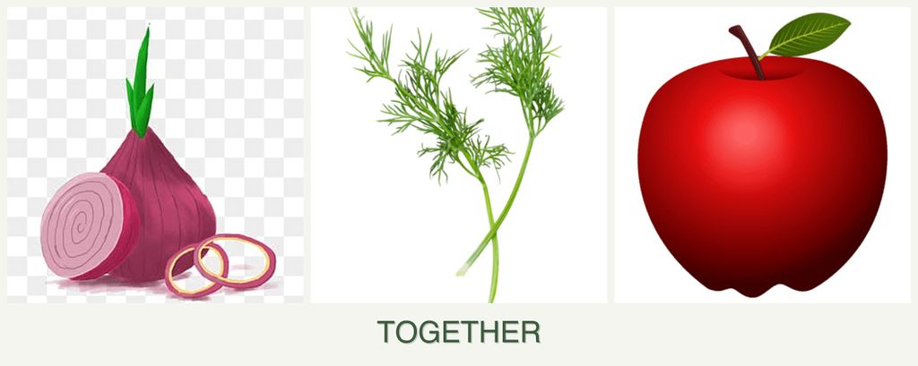 Can you plant onions, dill and apples together?