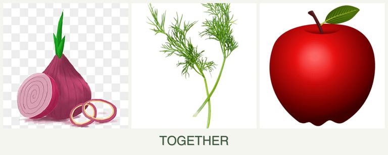 Can you plant onions, dill and apples together?