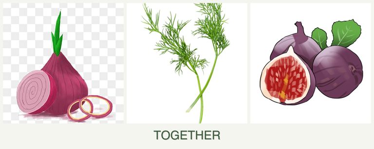Can you plant onions, dill and figs together?
