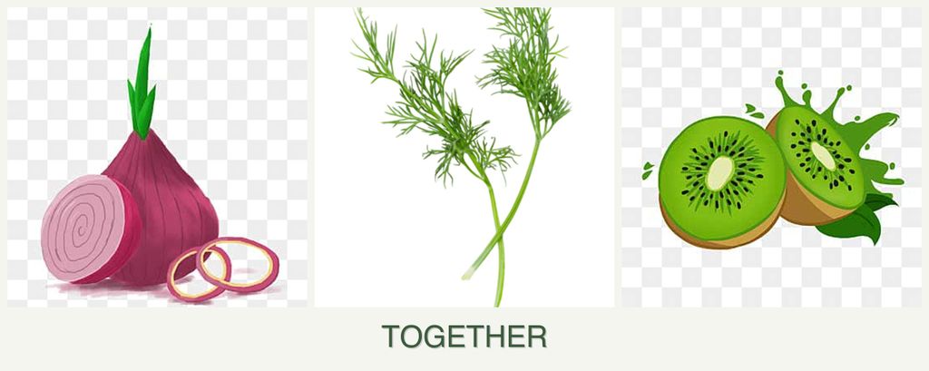 Can you plant onions, dill and kiwi together?