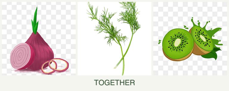 Can you plant onions, dill and kiwi together?