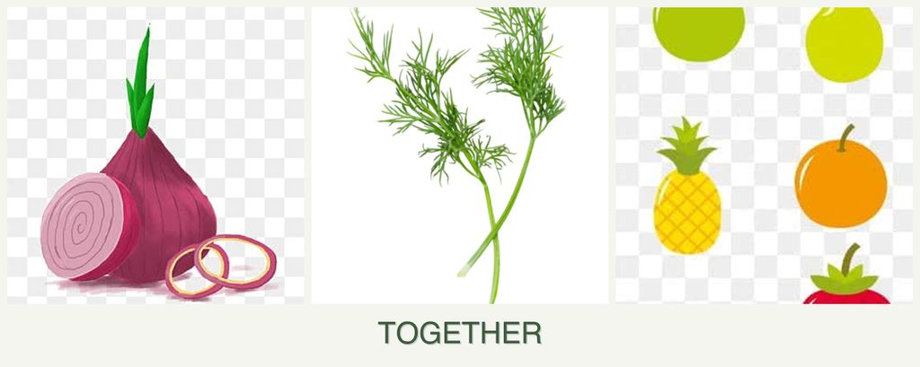 Can you plant onions, dill and pears together?