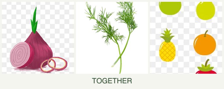 Can you plant onions, dill and pears together?