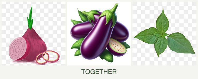 Can you plant onions, eggplant and basil together?