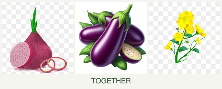 Can you plant onions, eggplant and calendula together?
