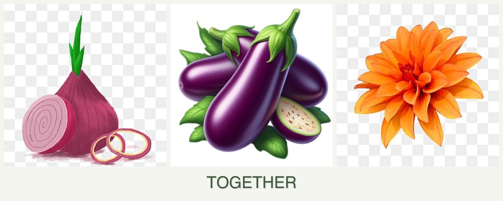 Can you plant onions, eggplant and dahlias together?