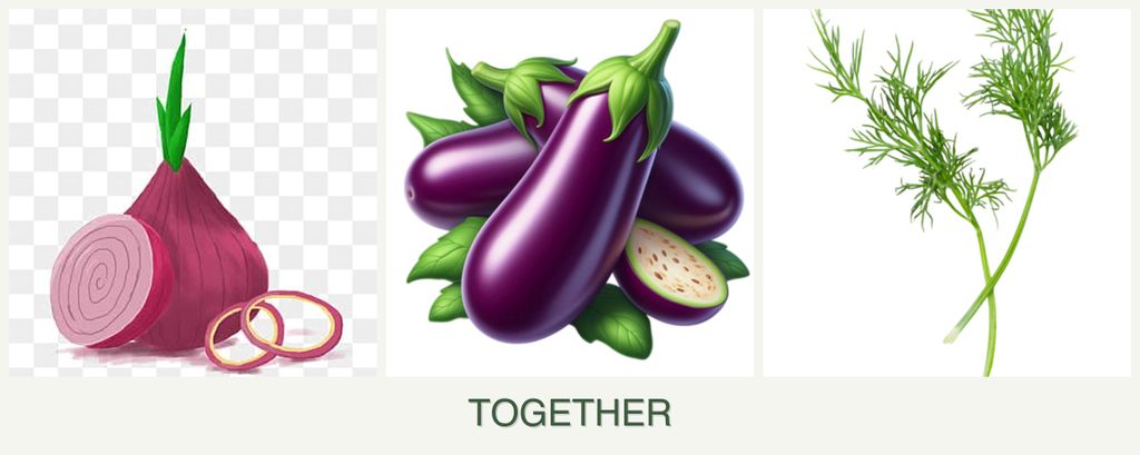 Can you plant onions, eggplant and dill together?