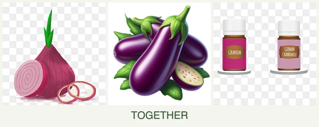 Can you plant onions, eggplant and geraniums together?