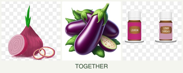 Can you plant onions, eggplant and geraniums together?