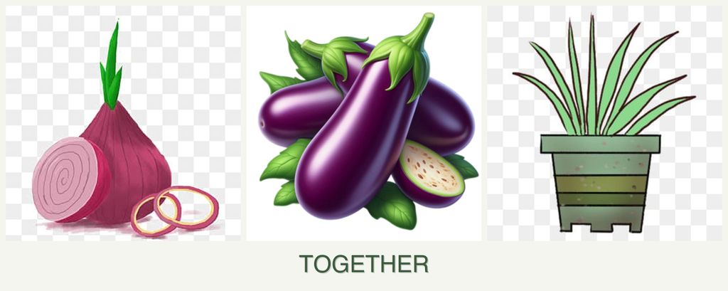 Can you plant onions, eggplant and lemongrass together?