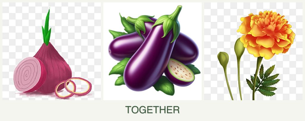 Can you plant onions, eggplant and marigolds together?