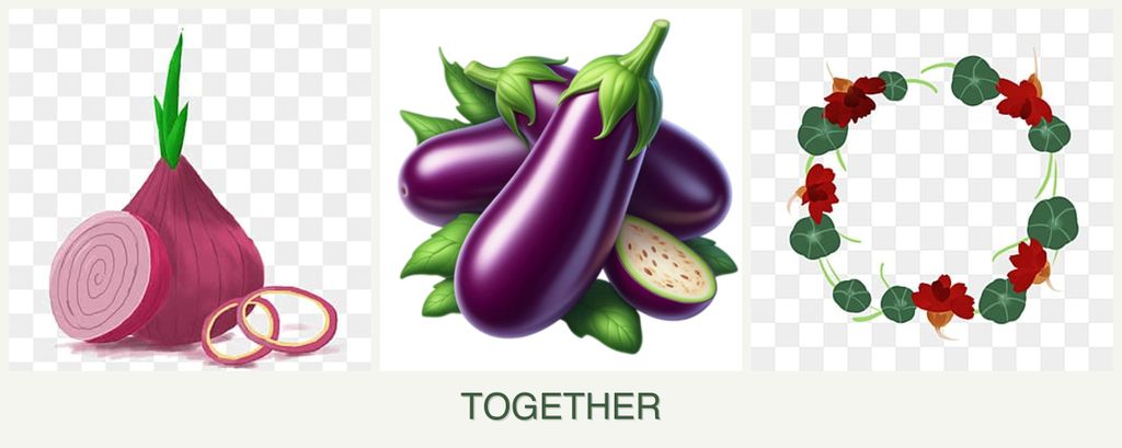 Can you plant onions, eggplant and nasturtiums together?
