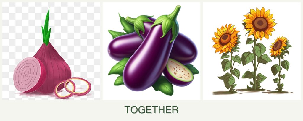 Can you plant onions, eggplant and sunflowers together?