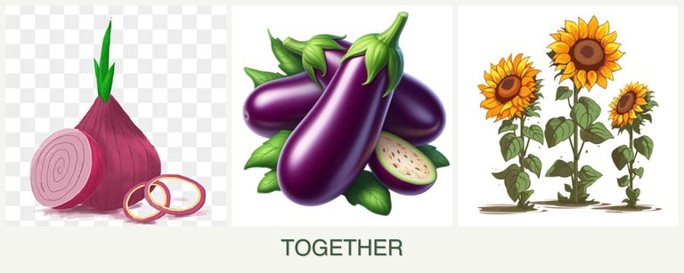 Can you plant onions, eggplant and sunflowers together?