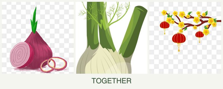 Can you plant onions, fennel and apricots together?