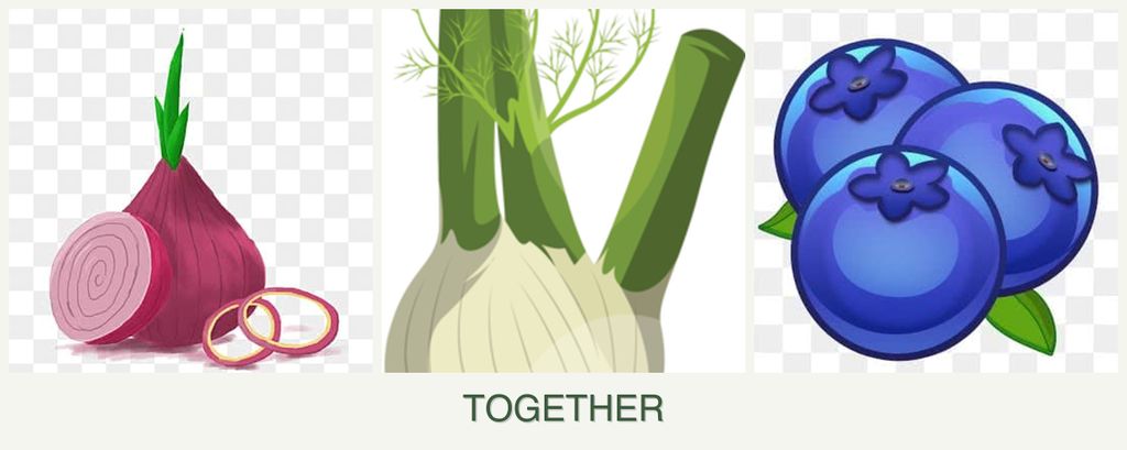 Can you plant onions, fennel and blueberries together?