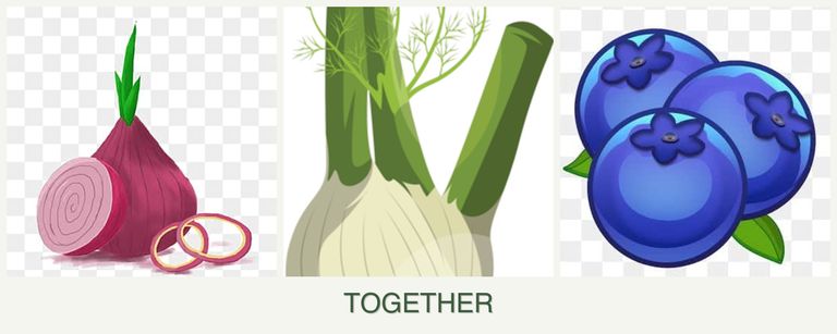 Can you plant onions, fennel and blueberries together?
