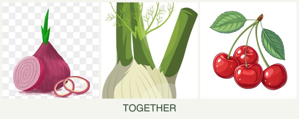 Can you plant onions, fennel and cherries together?