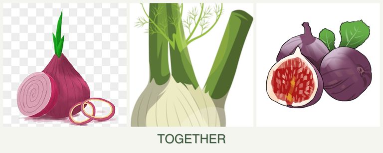 Can you plant onions, fennel and figs together?